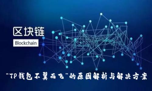 “TP钱包不翼而飞”的原因解析与解决方案